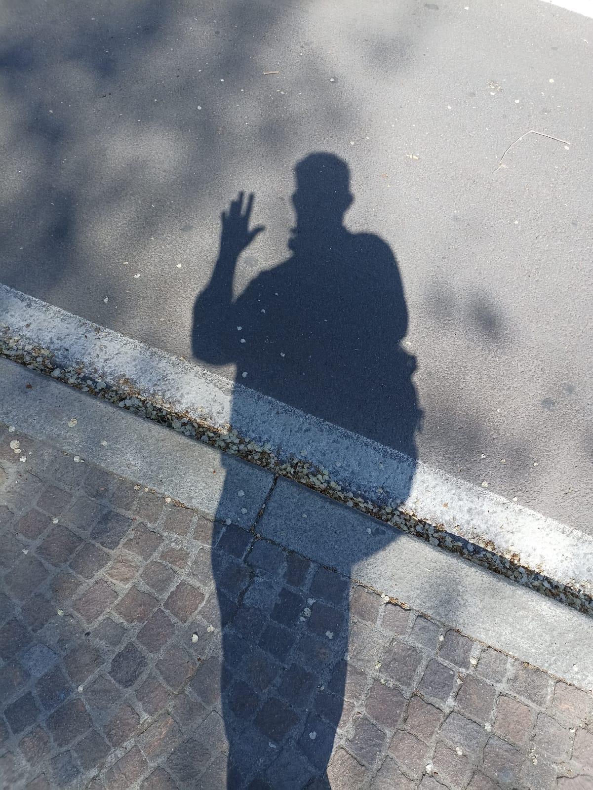 WhatsApp Image 2025-03-31 at 20.32.25